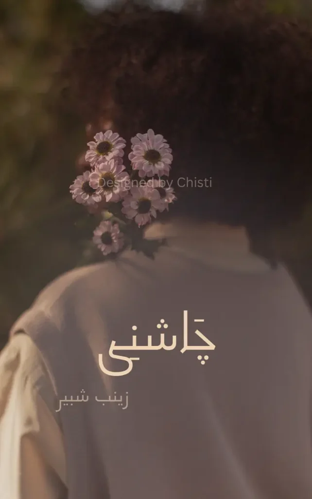 Chashni By Zainab Shabbir 1 chashni urdu novel by zainab shabbir