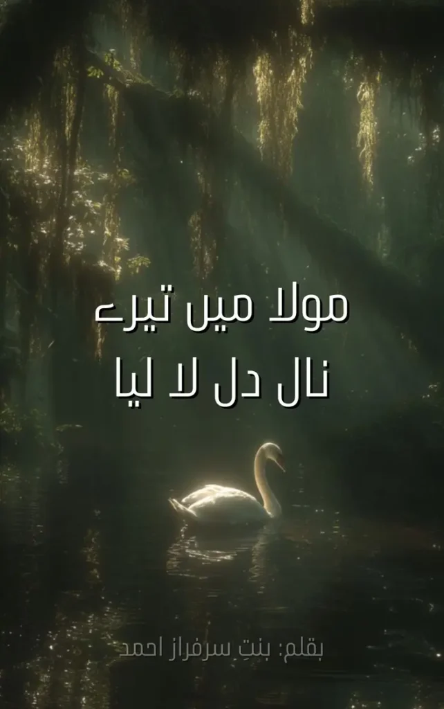 Mola mai tere naal dil la leya By Bint e Sarfaraz Ahmad urdu novel