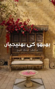 Phopho ki bhatijiaan By Ayesha falak sher 16 Phopho ki bhatijiaan By Ayesha falak sher urdu novel